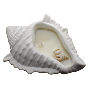 Vela en forma de concha